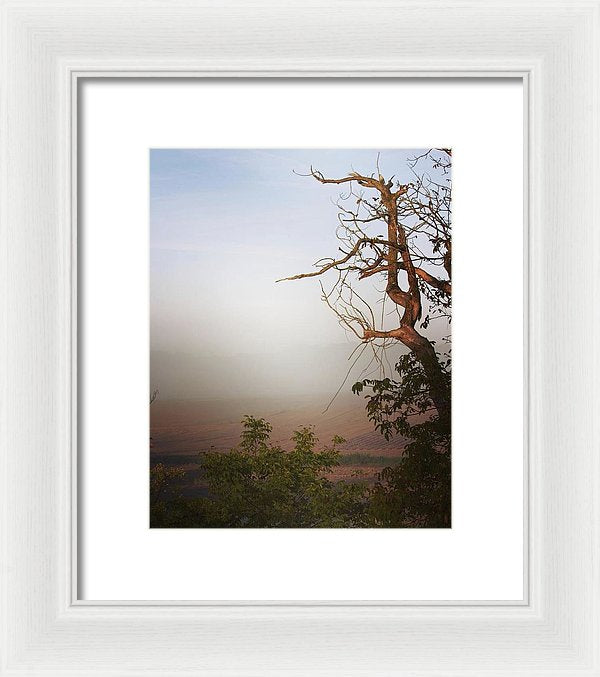 Foggy Morning - Framed Print