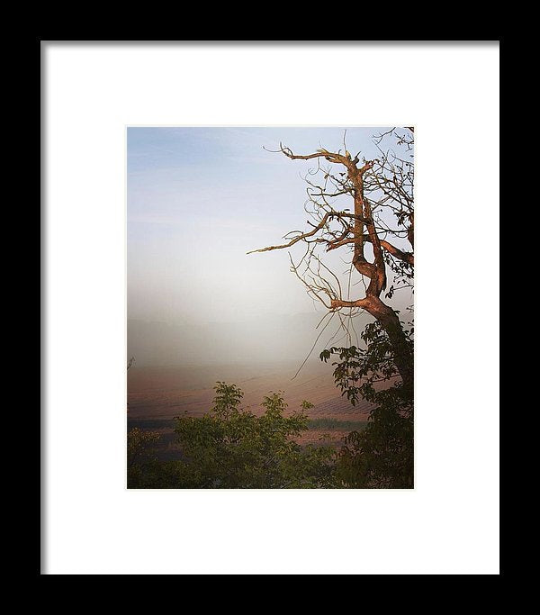 Foggy Morning - Framed Print