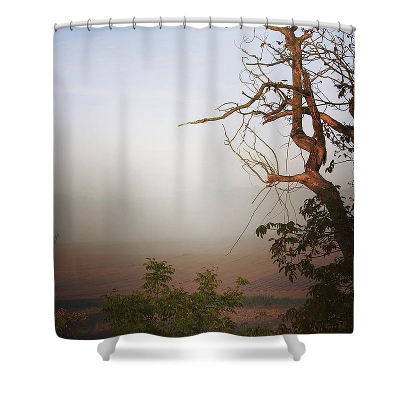 Foggy Morning - Shower Curtain
