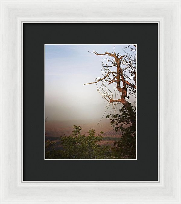 Foggy Morning - Framed Print