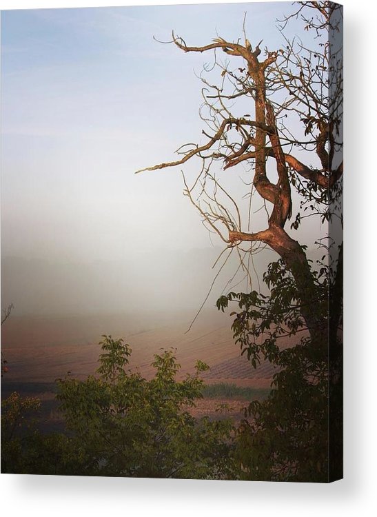 Foggy Morning - Acrylic Print