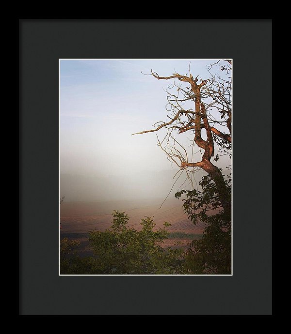 Foggy Morning - Framed Print