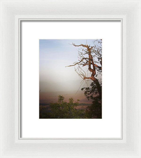 Foggy Morning - Framed Print