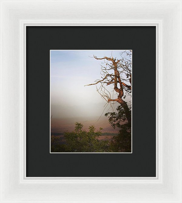 Foggy Morning - Framed Print