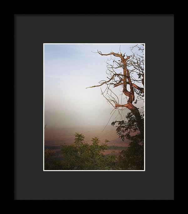 Foggy Morning - Framed Print