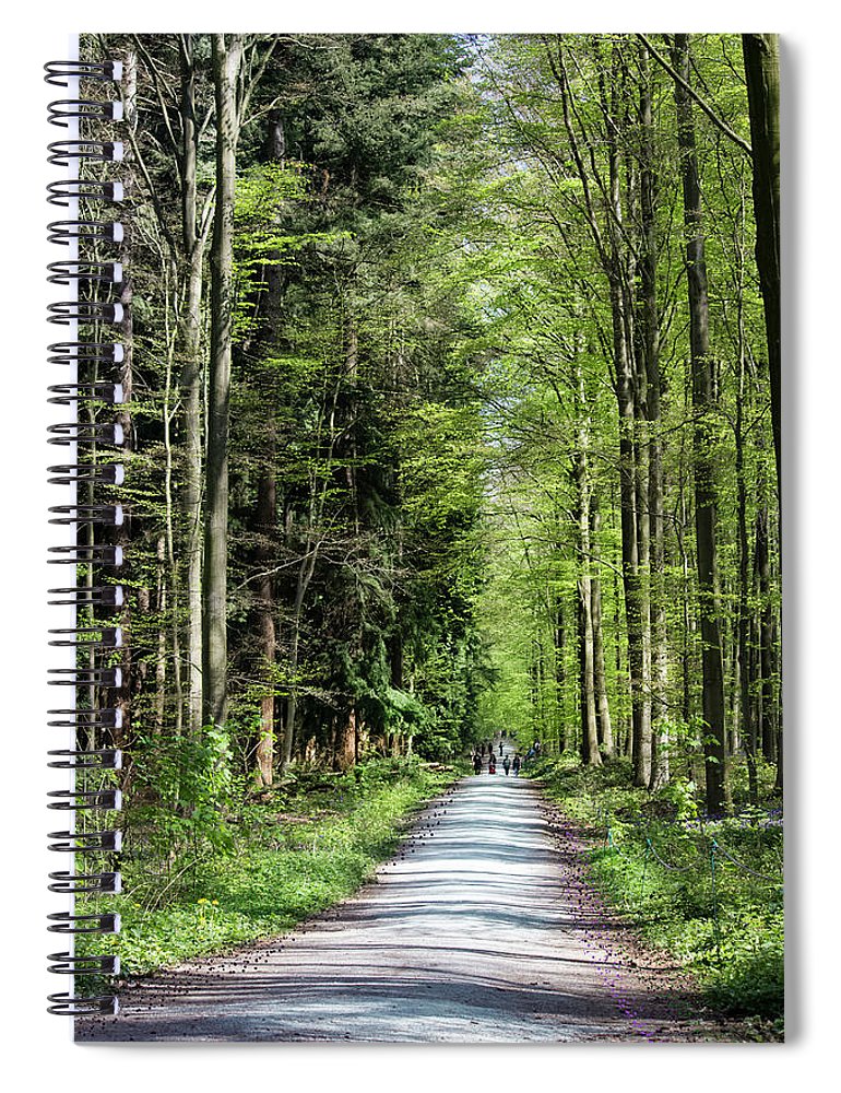 Forest Path - Spiral Notebook