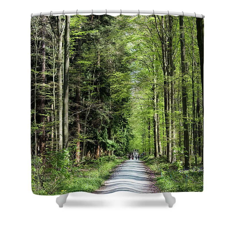 Forest Path - Shower Curtain