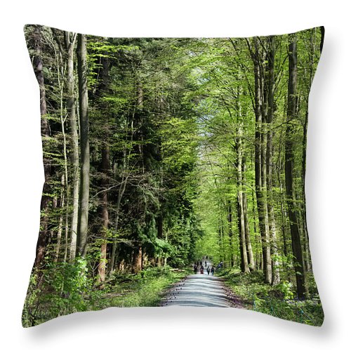 Forest Path - Throw Pillow