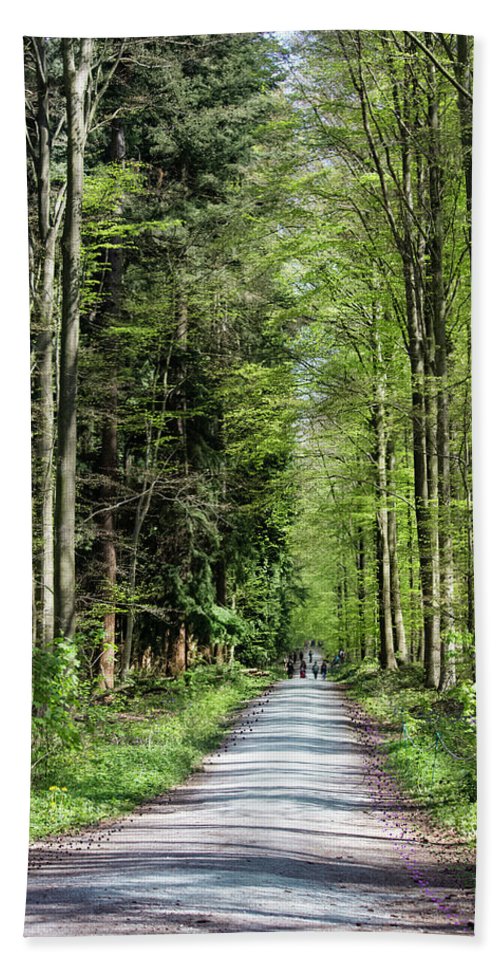 Forest Path - Beach Towel