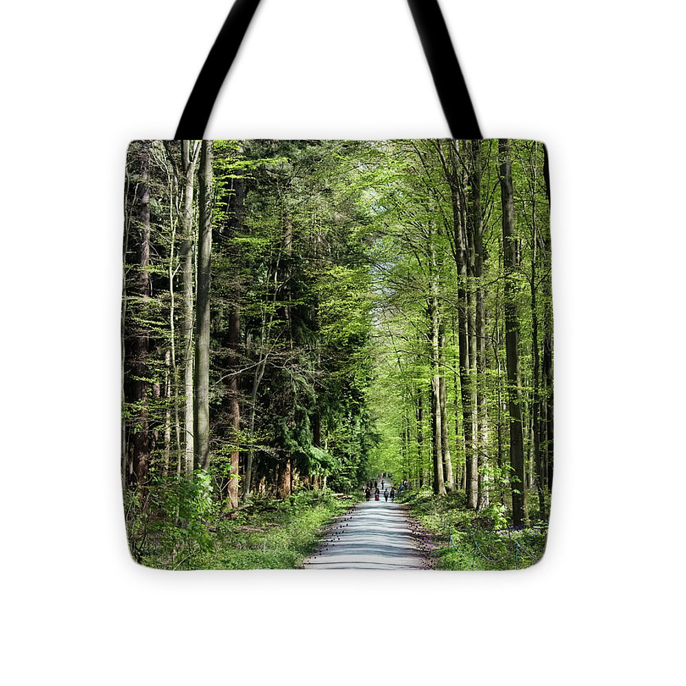 Forest Path - Tote Bag