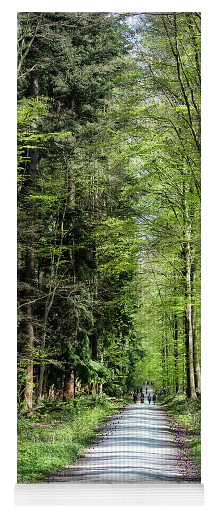 Forest Path - Yoga Mat
