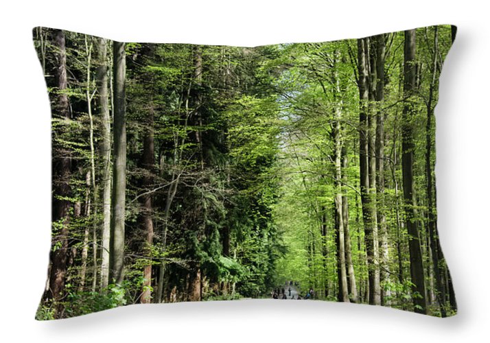 Forest Path - Throw Pillow