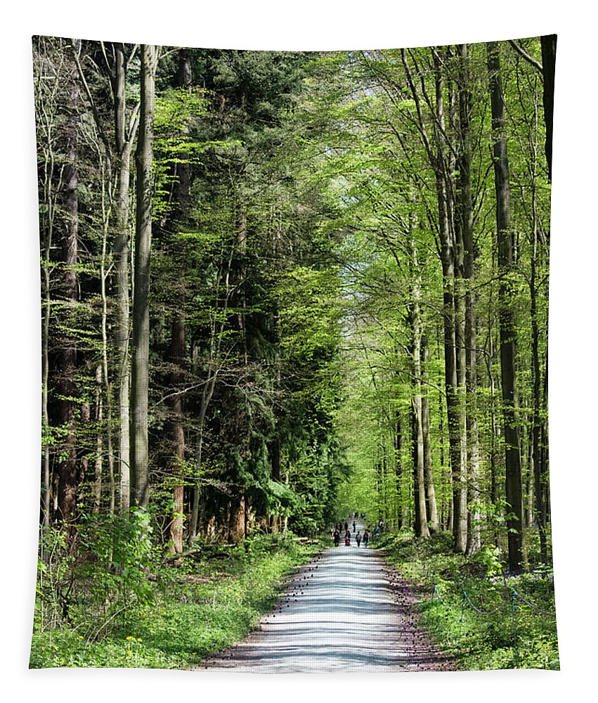 Forest Path - Tapestry