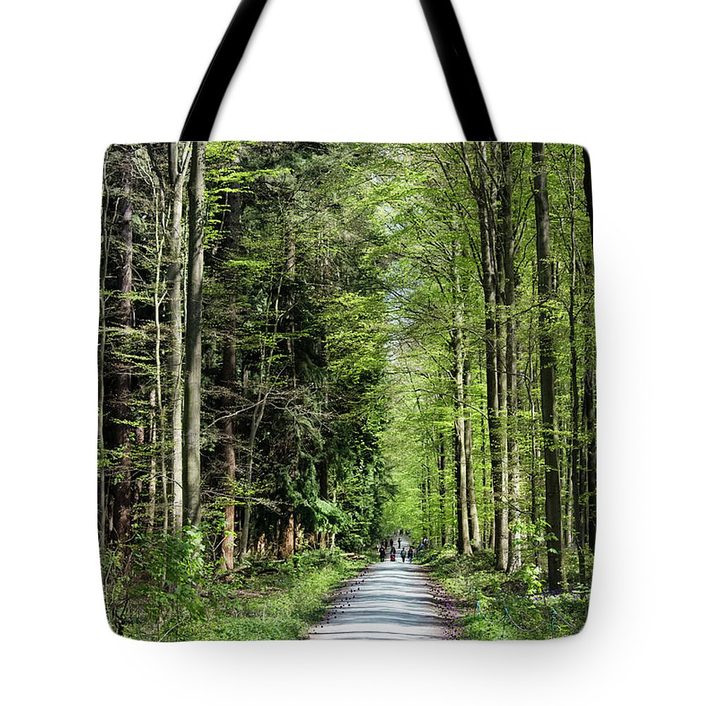 Forest Path - Tote Bag