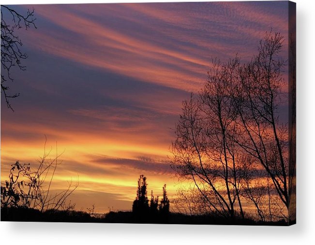 Golden Reflection - Acrylic Print