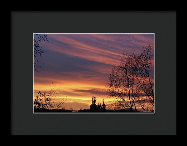 Golden Reflection - Framed Print