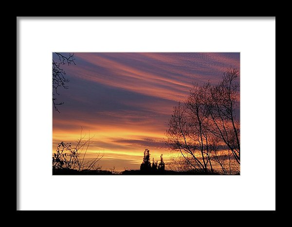 Golden Reflection - Framed Print