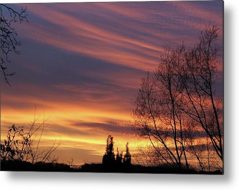 Golden Reflection - Metal Print