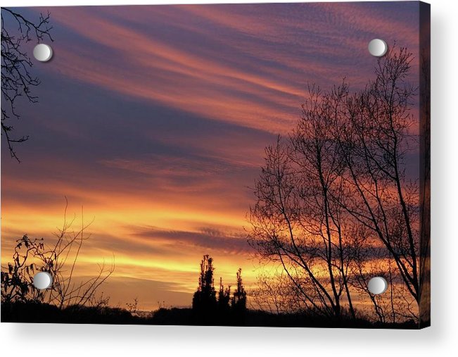 Golden Reflection - Acrylic Print