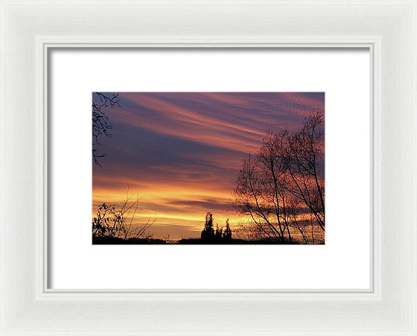 Golden Reflection - Framed Print