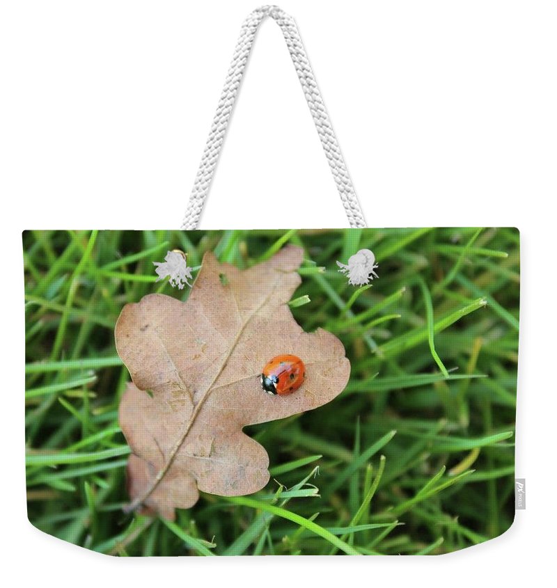 Ladybird, Ladybug - Weekender Tote Bag