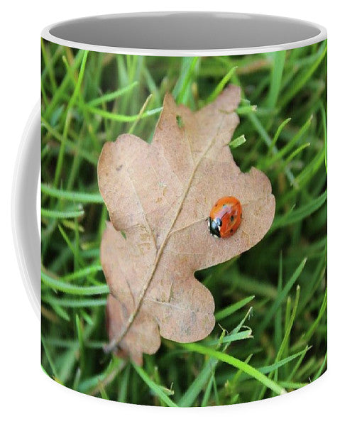 Ladybird, Ladybug - Mug