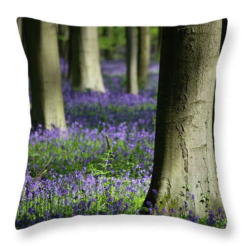 Light And Shadows - Throw Pillow