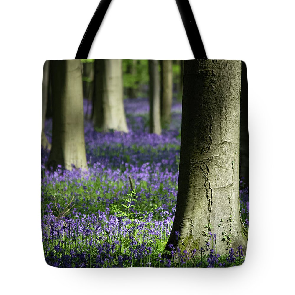 Light And Shadows - Tote Bag