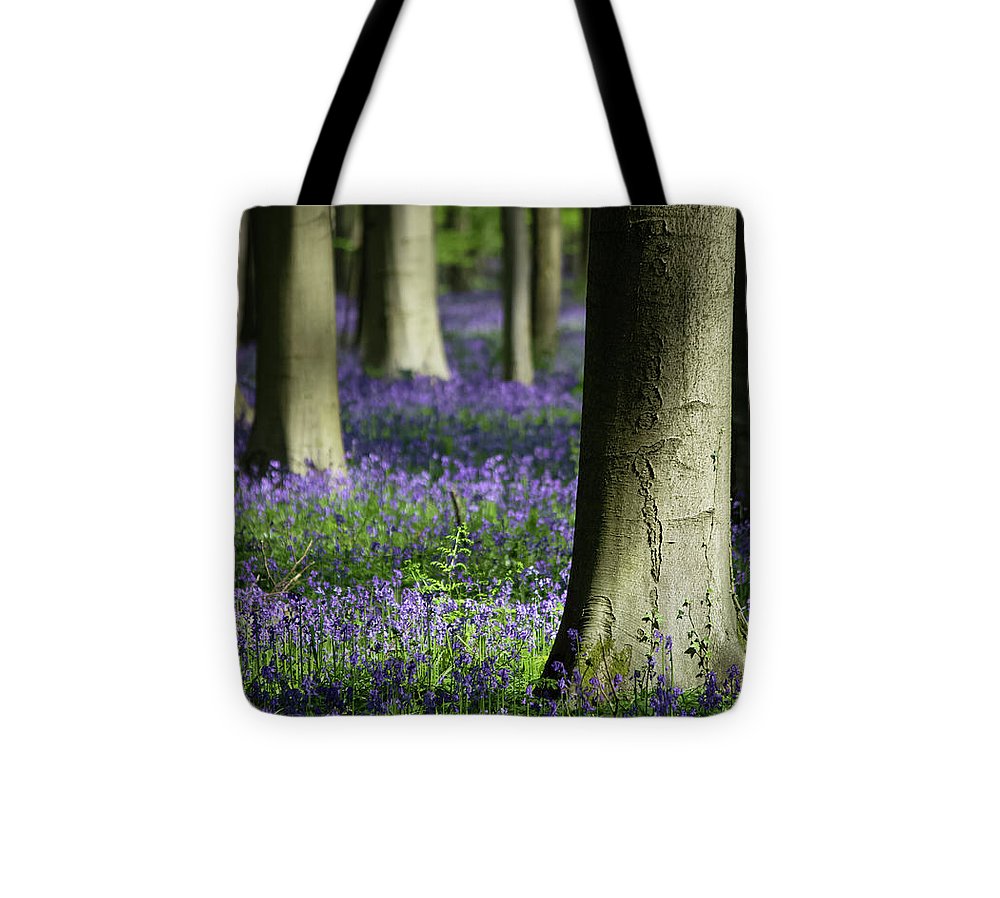 Light And Shadows - Tote Bag