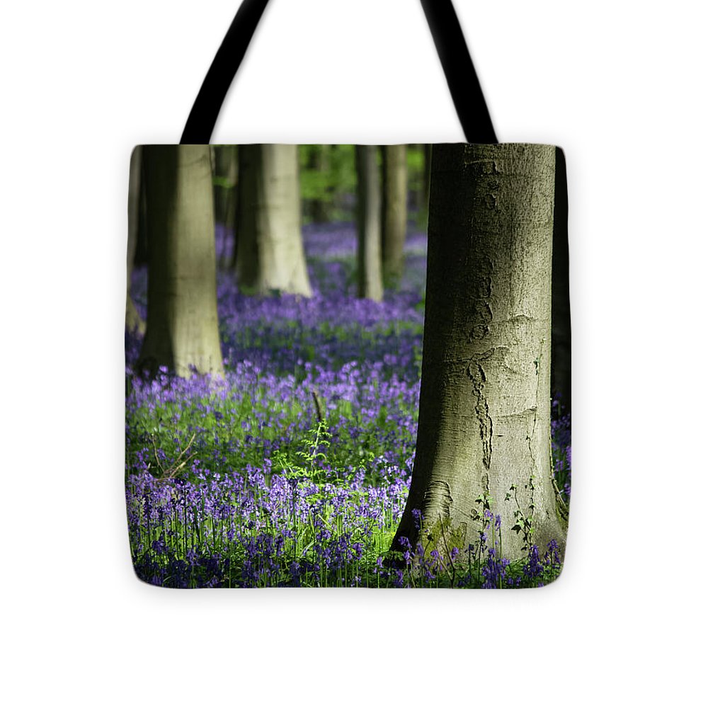 Light And Shadows - Tote Bag