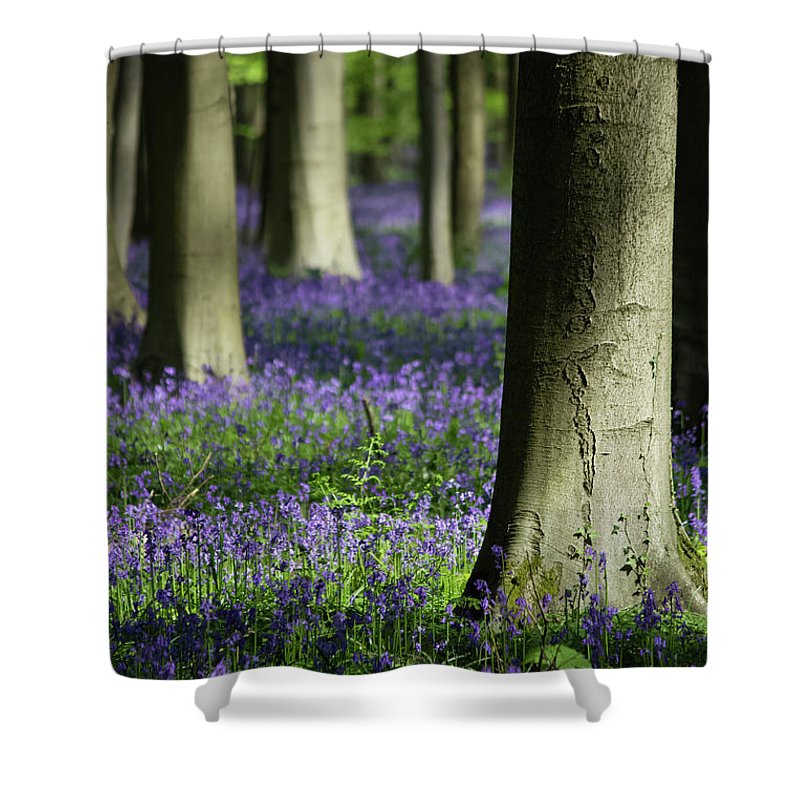 Light And Shadows - Shower Curtain