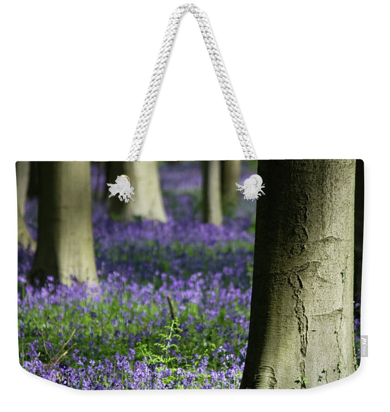 Light And Shadows - Weekender Tote Bag