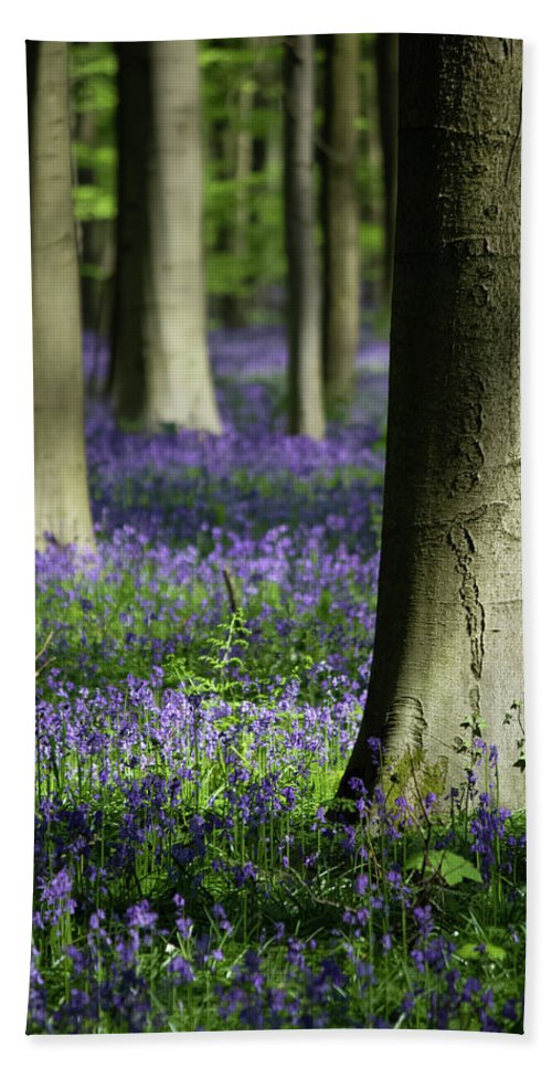 Light And Shadows - Bath Towel