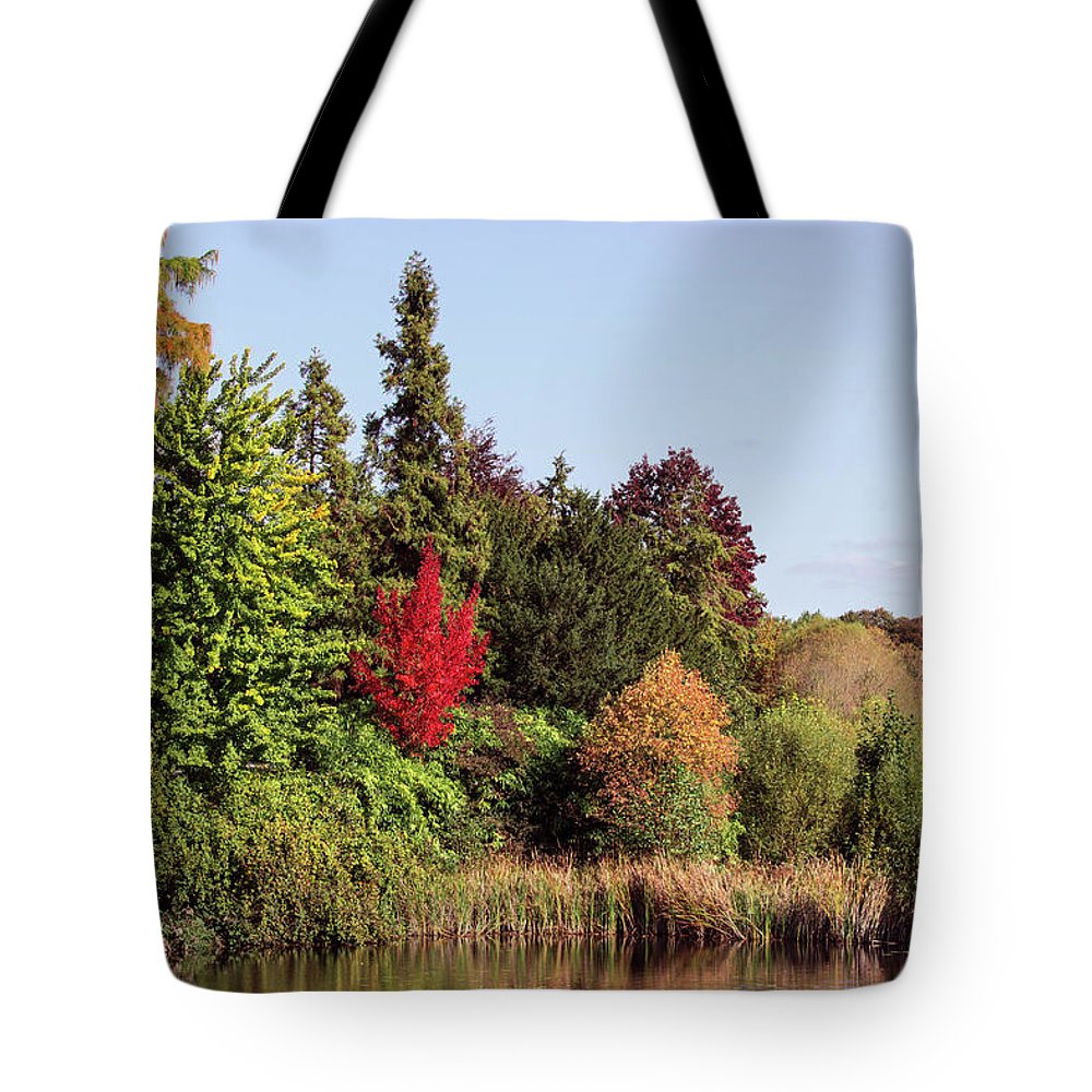 Like In The Wonderland - Tote Bag