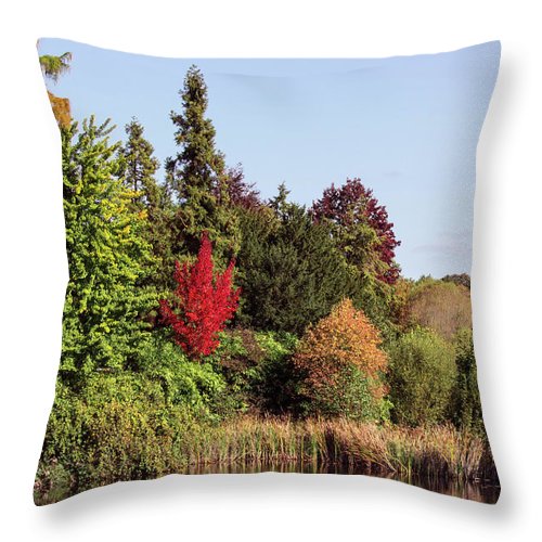 Like In The Wonderland - Throw Pillow