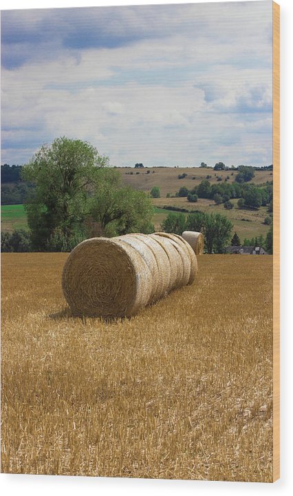 Luxembourg Countryside - Wood Print
