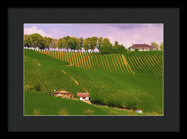 Luxembourg Vineyards Landscape  - Framed Print