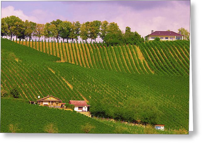 Luxembourg Vineyards Landscape  - Greeting Card