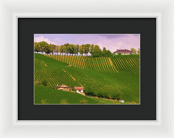 Luxembourg Vineyards Landscape  - Framed Print