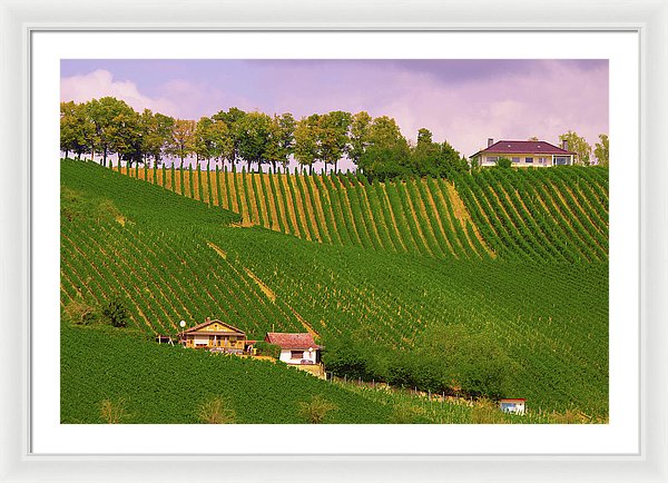 Luxembourg Vineyards Landscape  - Framed Print