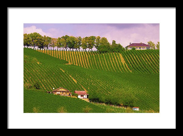 Luxembourg Vineyards Landscape  - Framed Print