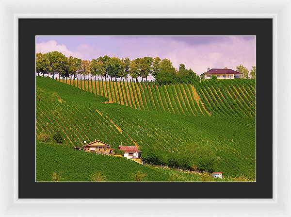 Luxembourg Vineyards Landscape  - Framed Print