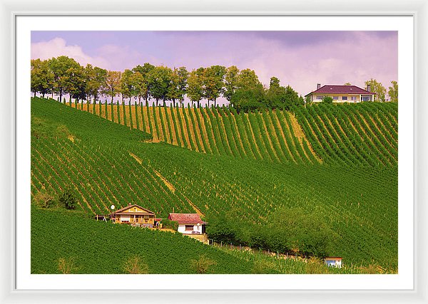 Luxembourg Vineyards Landscape  - Framed Print