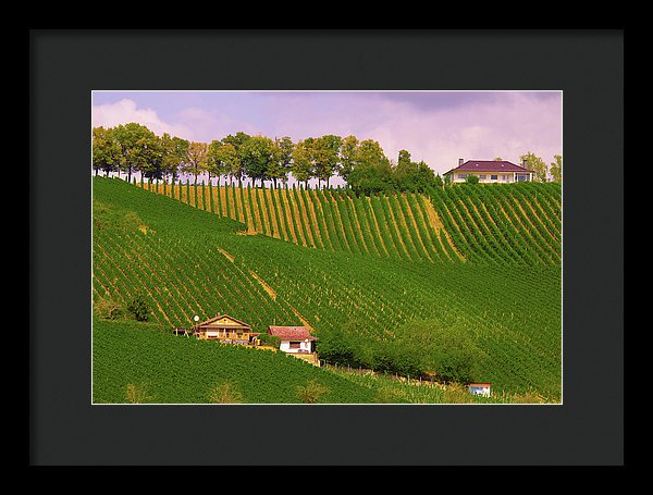 Luxembourg Vineyards Landscape  - Framed Print