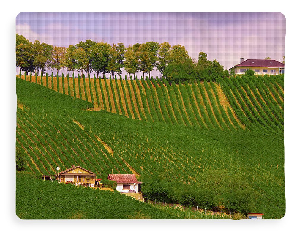 Luxembourg Vineyards Landscape  - Blanket