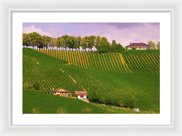 Luxembourg Vineyards Landscape  - Framed Print