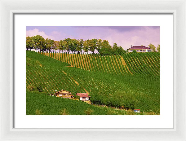 Luxembourg Vineyards Landscape  - Framed Print