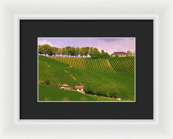 Luxembourg Vineyards Landscape  - Framed Print