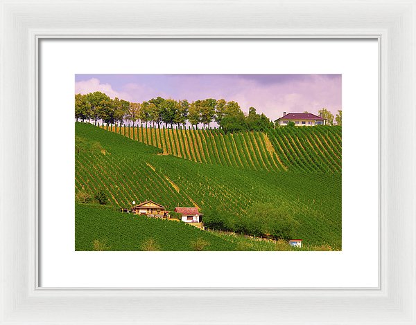 Luxembourg Vineyards Landscape  - Framed Print