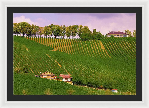 Luxembourg Vineyards Landscape  - Framed Print